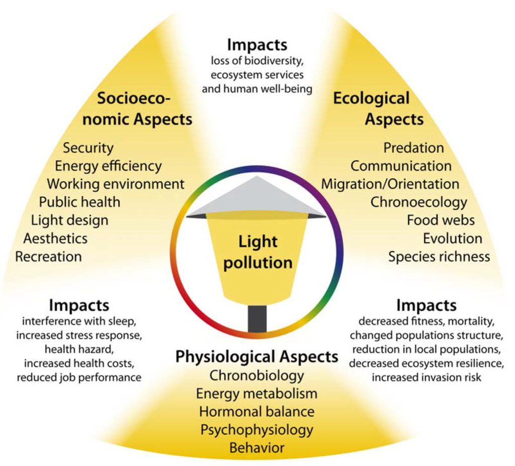 the physiological effects of pollutants essay the physiological effects of pollutants essay